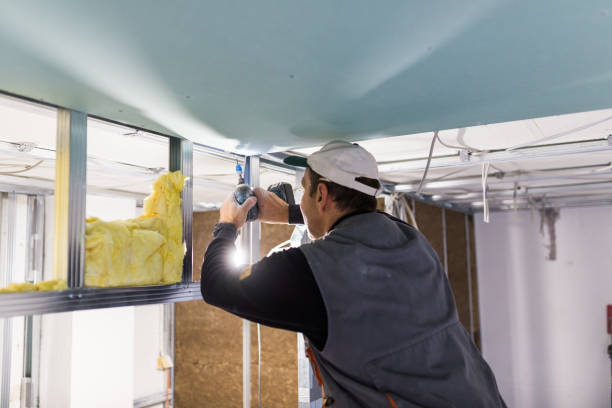 Best Insulation Installation Services in Loudon, TN